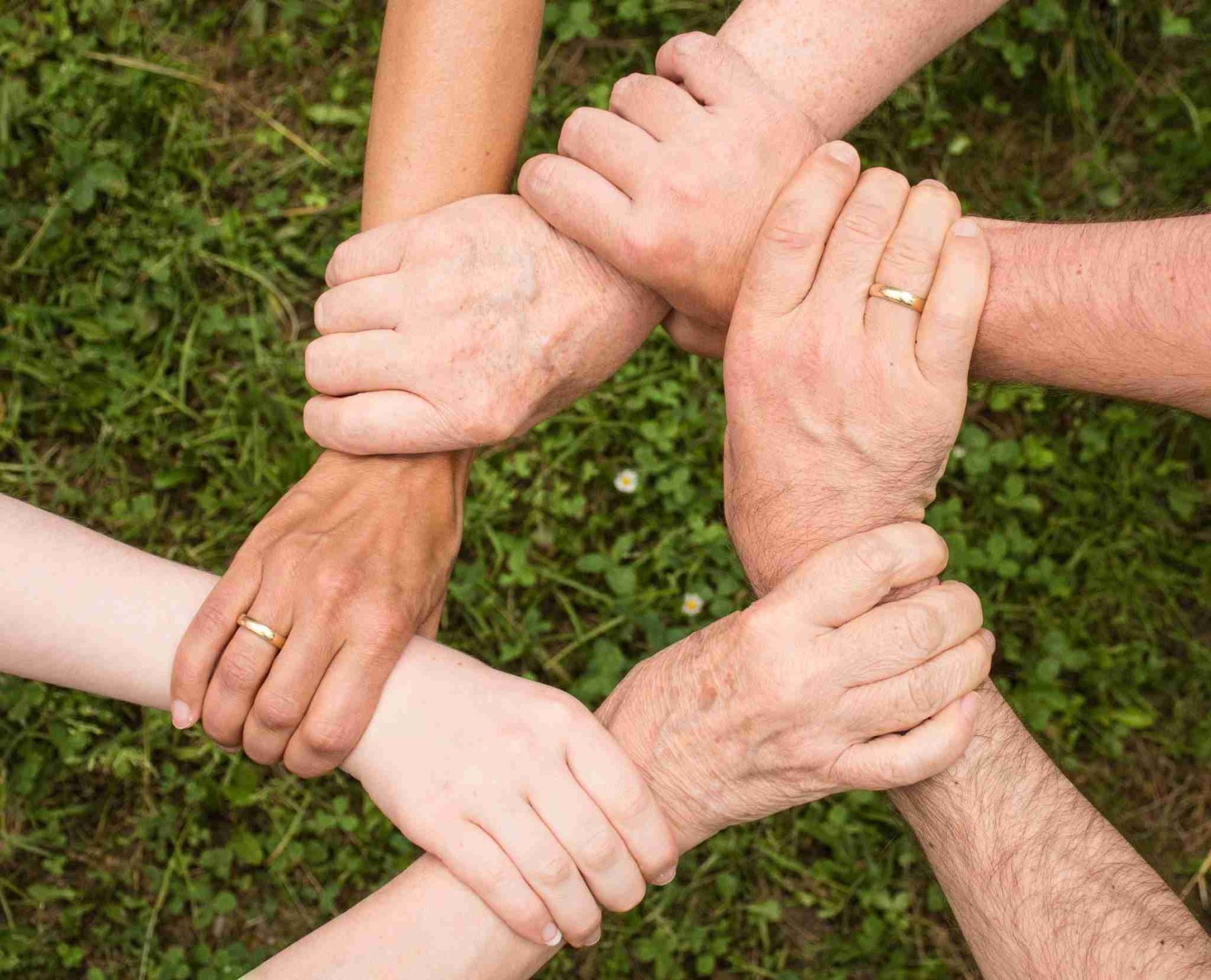 Six hands of varying skin tones are gripping each other's wrists, forming a circle. The background is a patch of green grass. Each person is wearing a gold wedding band on their ring finger.