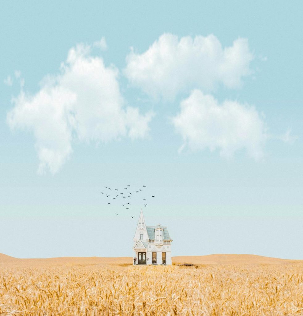 A quaint, white, two-story house with a pointed roof stands alone in a vast, golden wheat field under a clear blue sky with fluffy clouds. A flock of birds flies in the sky, enhancing the serene, rural atmosphere.