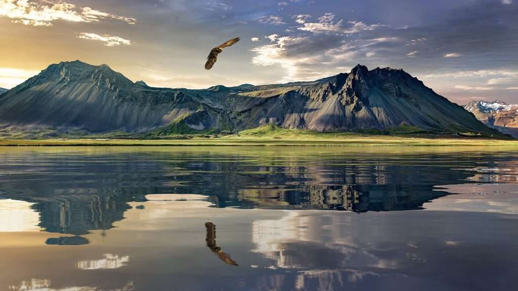 An eagle soars above a tranquil New Zealand lake reflecting rugged, green-carpeted mountains under a dramatic sky at sunset. The scene captures the serene and majestic essence of nature, with a stunning transparency as the eagle's reflection mirrors in the calm water below.