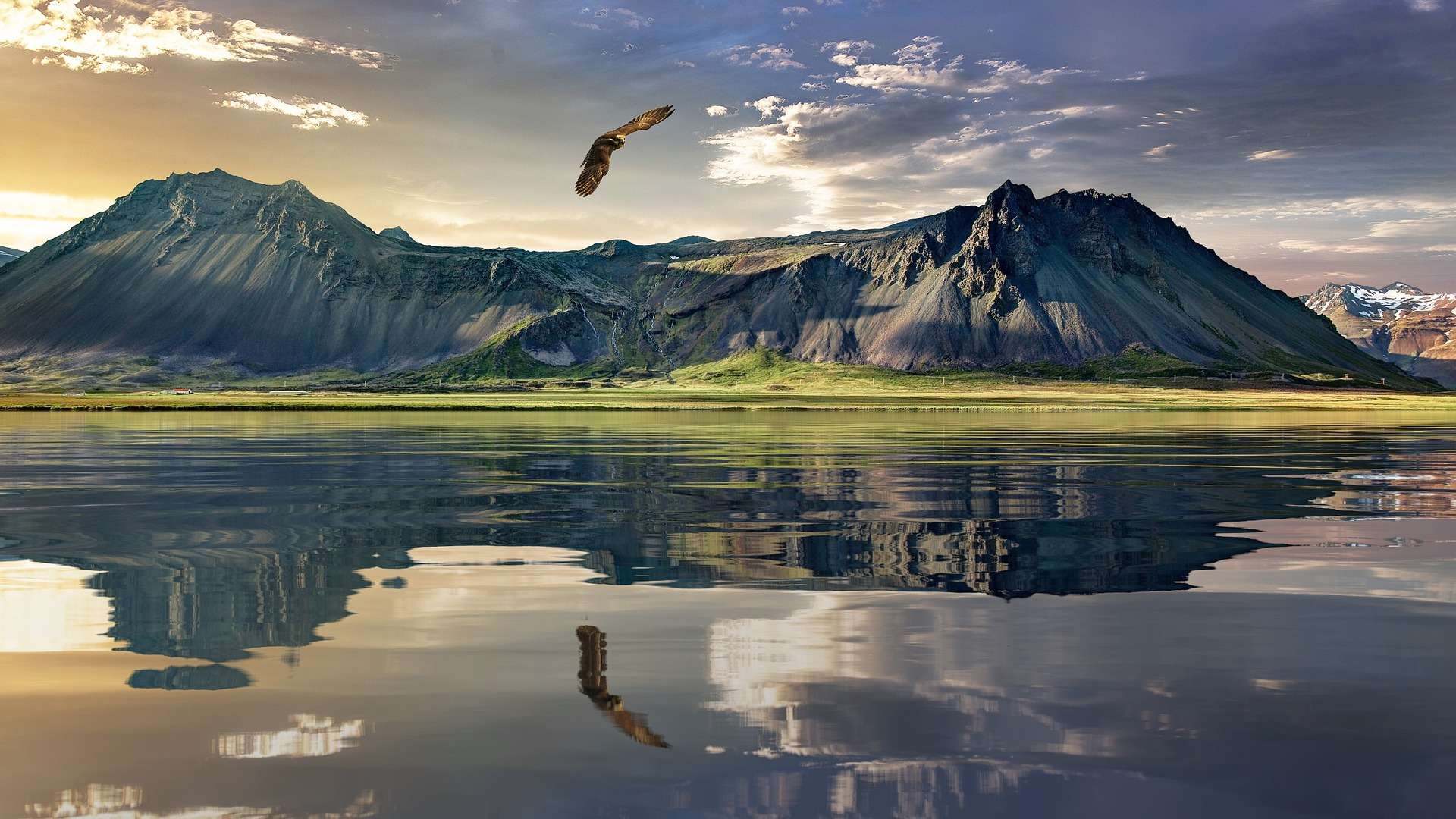 An eagle soars above a tranquil New Zealand lake reflecting rugged, green-carpeted mountains under a dramatic sky at sunset. The scene captures the serene and majestic essence of nature, with a stunning transparency as the eagle's reflection mirrors in the calm water below.