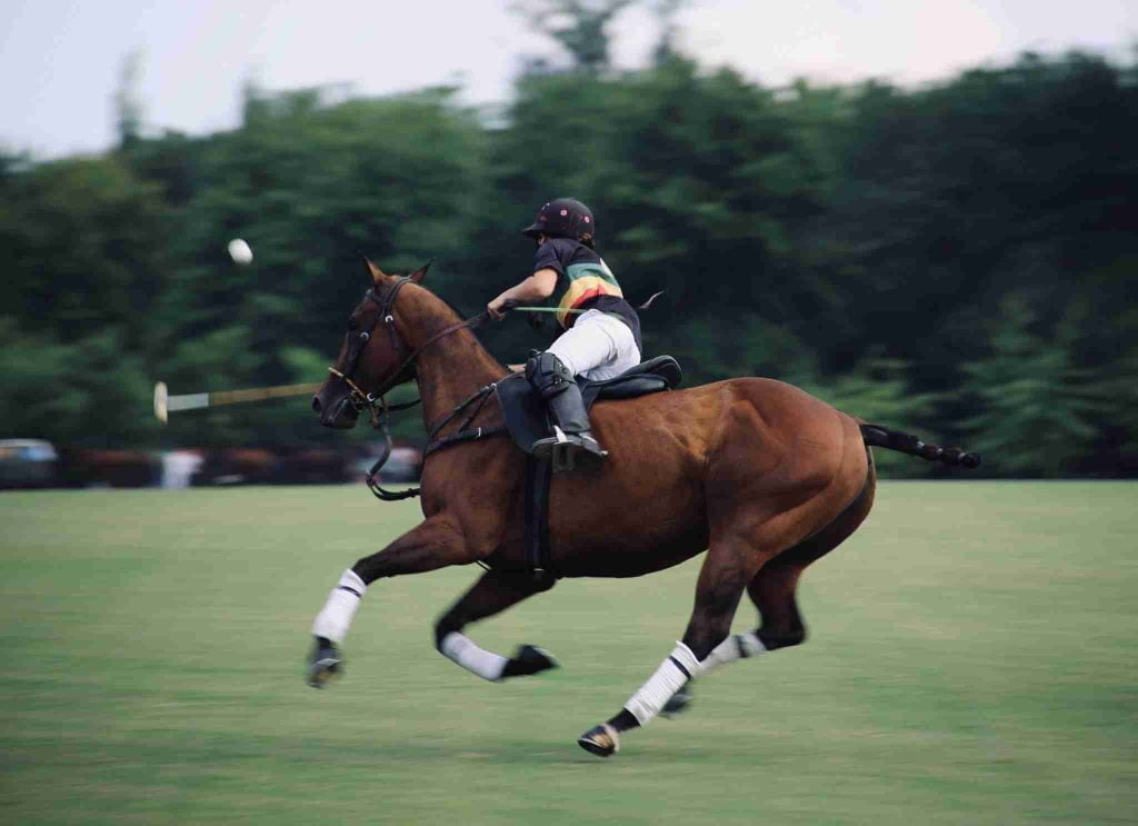 A person wearing a helmet and polo attire from one of the prestigious polo clubs is riding a galloping horse on a grassy field, aiming a polo mallet at an airborne ball. Dense trees are visible in the background.