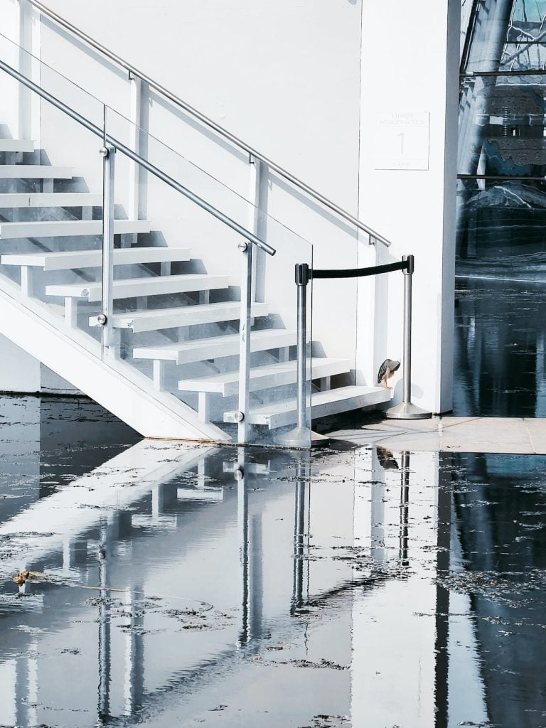 A white staircase and a silver handrail descend next to a reflective, glossy black floor. A small sign numbered "1" is visible on the wall. Expert evidence of the staircase's reflection is clearly mirrored on the shiny floor surface, creating a symmetrical effect.