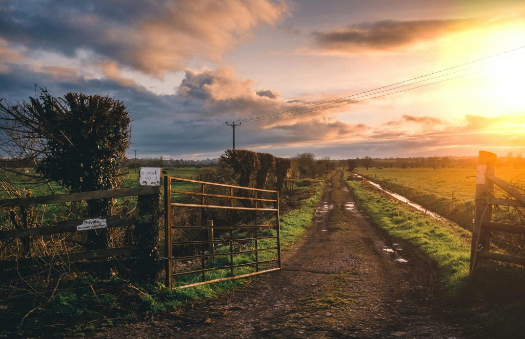 A rural dirt path stretches into the distance under a dramatic sunset sky. On the left, a metal gate is slightly open, leading to a fenced field. The sun casts a warm glow over the landscape, highlighting the lush, green grass and scattered puddles on the path.